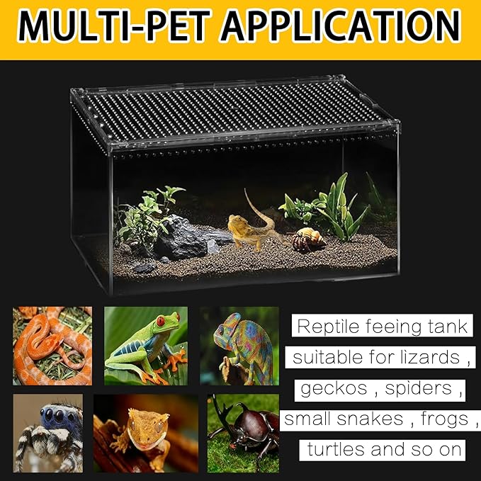 Insect breeding Box Reptile Feeding Box, Waterproof Enclosure Enclosure for arboreal Tarantula Scorpion Sling Lizards Snake Gecko Jumping Spider Snail Isopods, Reptile breeding Box (8x6x4 Inch) ???
