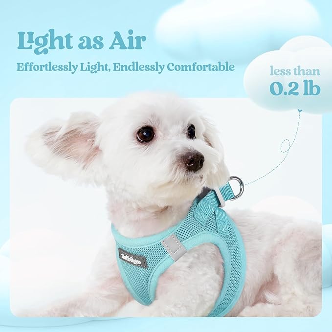 rabbitgoo Dog Harness Small Medium Sized and Leash Set, Step in Soft Light Puppy Vest, Breathable Mesh Pet Harness, Reflective for Safe Easy Walking, Mint Blue XL