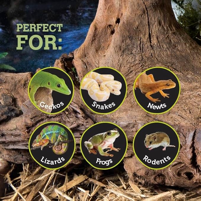 Galápagos (05370) Mossy Sapa Corner Hide - The Perfect Reptile Hide for Security and Comfort - A Natural and Secure Hide for Reptiles, Amphibians, and Invertebrates, L10” x W5.5” x H4.5”