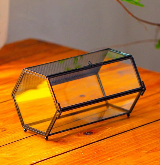 NCYP Small Glass Enclosure Terrarium with Mesh & Door for Tiny Beetle - Hexagon Jumping Spiders Vented Glass Terrarium 7.87'' x 4.52'' x 3.93'', Black (Plants Not Include)