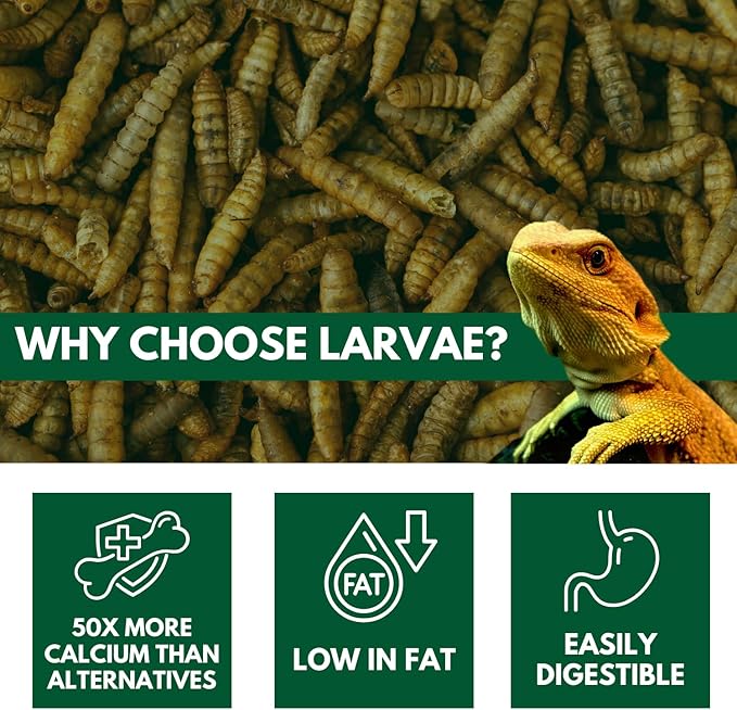Black Soldier Fly Larvae, Bearded Dragon Food, Bugs for Reptiles, Worms for Geckos, Insect Protein, Baby Bearded Dragon Food, Made in USA, 5 lbs