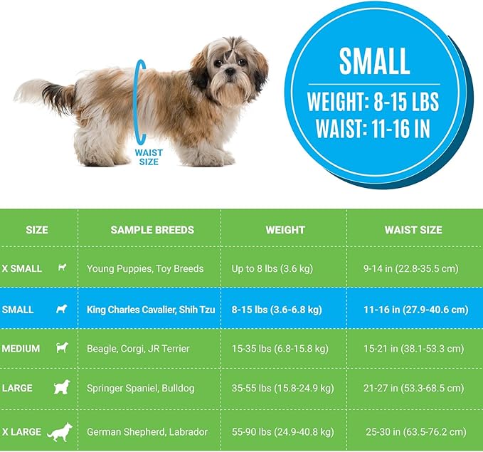 Bodhi Dog Disposable Male Dog Diapers - Super Absorbent, Leak-Proof Pee Wraps - Adjustable Fit, Comfortable Design, Advanced Moisture Control, and Wetness Indicator - Small (20 Count)