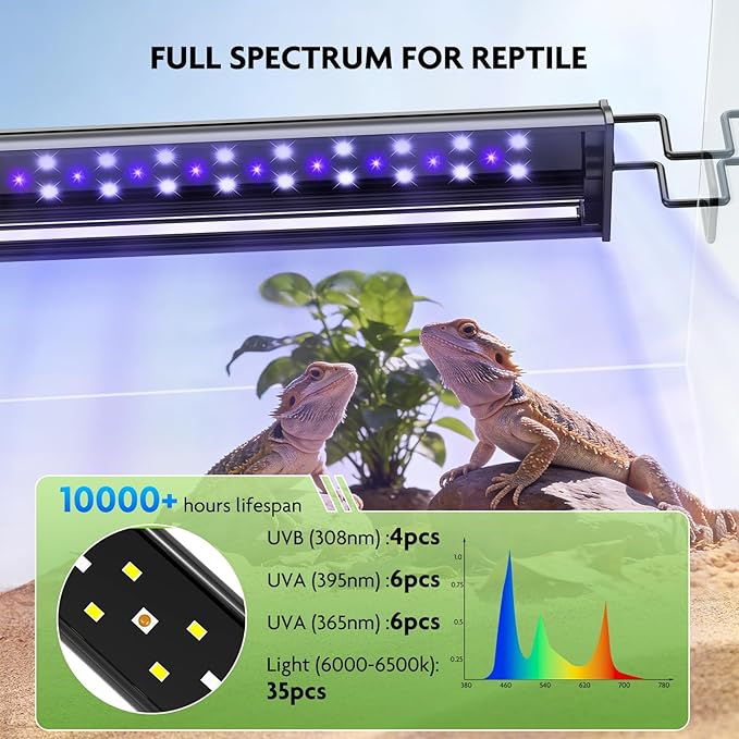 PAIZOO Reptile UVB Light for Reptiles, 2-in-1 LED Reptile Light Kit with LCD Controller, 4 Preset Modes Cover Ferguson Zone Great for Most Reptiles, Timer Reptile Lamp for Terrarium Accessories, 14W