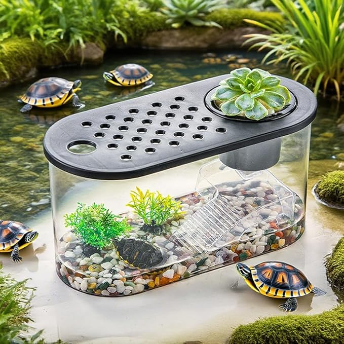 Small Turtle Tank Kit, Reptile Aquarium with Basking Platform, Decor Stones & Water Grass – Habitat for Turtles, Hermit Crabs, Fish – Ideal for Home or Office (12" x 6" x 12")