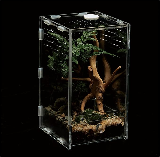 Acrylic Clear Reptile Habitat Enclosure Terrarium with Latch ，Perfect for Amphibians and Invertebrates Such as Spiders, Frogs, etc (Vertical)
