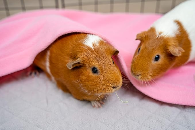 GuineaDad Liner | Guinea Pig Fleece Cage Liners | Guinea Pig Bedding | Burrowing Pocket Sleeve | Extra Absorbent | Waterproof Bottom (Midwest, Pink)