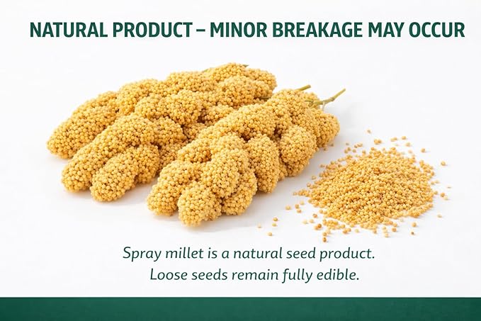 25lbs Wholesome Spray Millet for Birds – USA Grown, Harvested & Packed – 100% Natural Sun-Dried Millet Clusters – for Parakeets, Cockatiels, Conures, Budgies, Finches & All Parrots