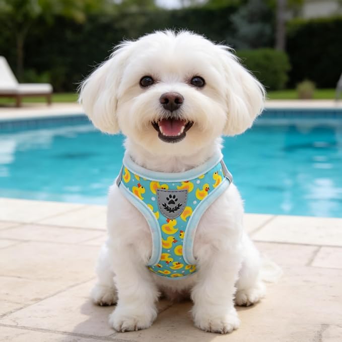SCENEREAL Small Dog Harness and Leash Collar Set, Step in Soft Light Puppy Vest, Breathable Pet Harness for Small Sized Dogs, No Chock Reflective for Safe Outdoor Walking, Yellow Duck M