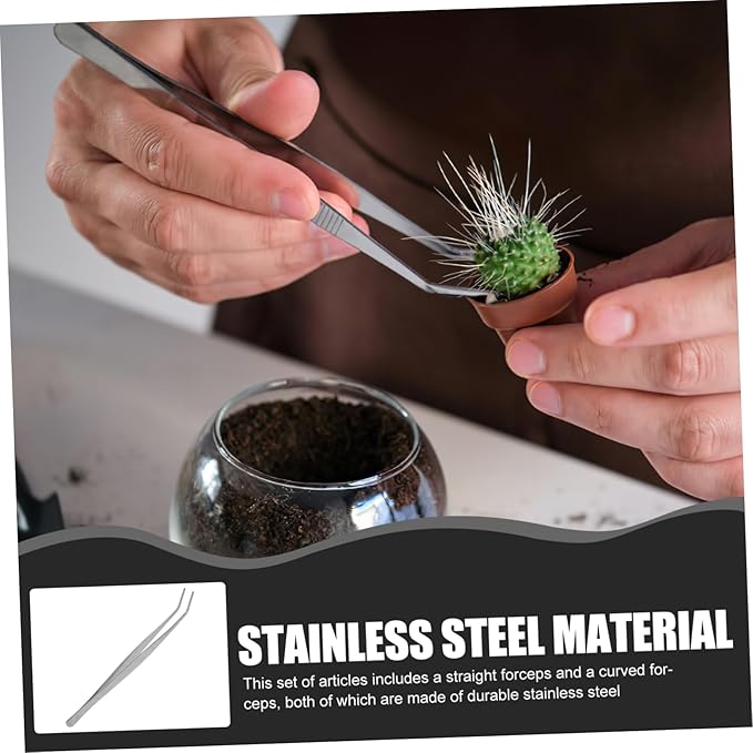 2pcs Stainless Steel Feeding Tongs Straight and Curved Tweezers for Reptiles Snakes Lizards and Spiders Durable Silver Design for Professional and Personal Use
