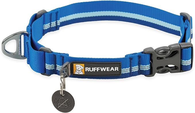 Ruffwear, Web Reaction Dog Collar, Escape-Proof Security Buckle, Adjustable Anti-Slip Martingale Collar with Durable Nylon Tubelok Webbing & Silent ID Attachment, Blue Pool, 20"-23"