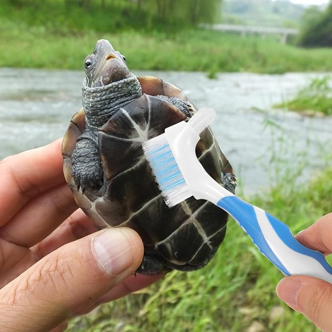 2pcs Turtle Shell Cleaning Brush Portable Mini Mud Remover for Aquatic Turtle Care with Ergonomic Handle, Blue, Practical Reptile Health Supplies