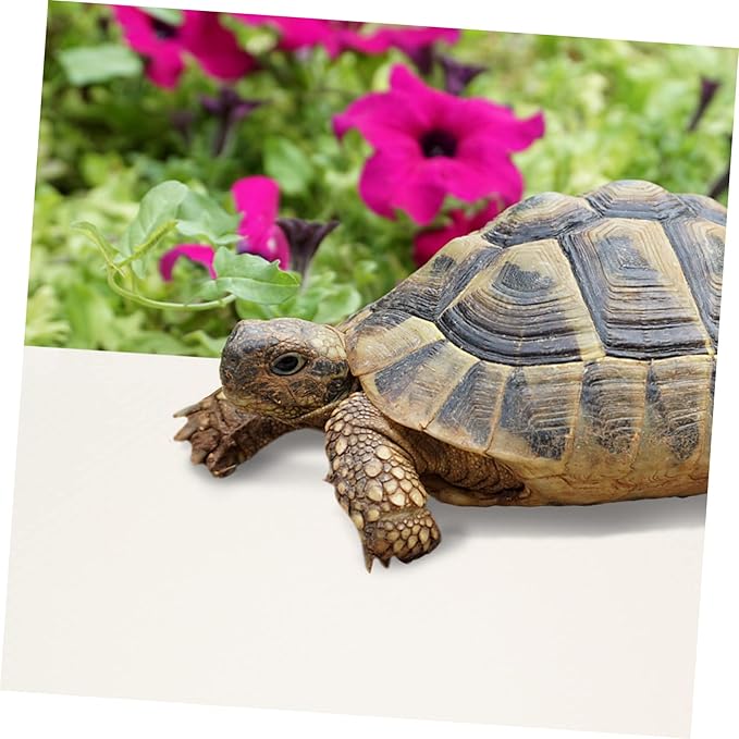 Reptile Terrarium Liner Substrate Soft Non Slip Carpet for Bearded Dragons Tortoises Snakes and Lizards Lightweight Durable Bedding for Reptile Tanks