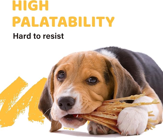 iPaw 5 Packs Value Combo Turkey Tendons for Dogs, Single Protein, Hypoallergenic, All Natural Human Grade Puppy Chew, Rawhide Alternative Dog Treats, Strip (Large)
