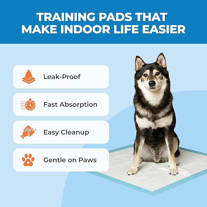 Best Pet Supplies Puppy Pads (22.5 x 22 Inches) - Disposable, Dog Training Potty, Super Absorbent Baby Blue Puppy Pee Pads for Dogs (300 Count)