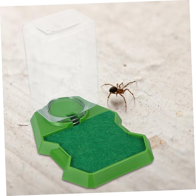 1pcs Reptile Feeding Box Water Drowning Hydration Tool for Lizards Turtles and Geckos Compact Multi-Functional Design for Terrarium Use