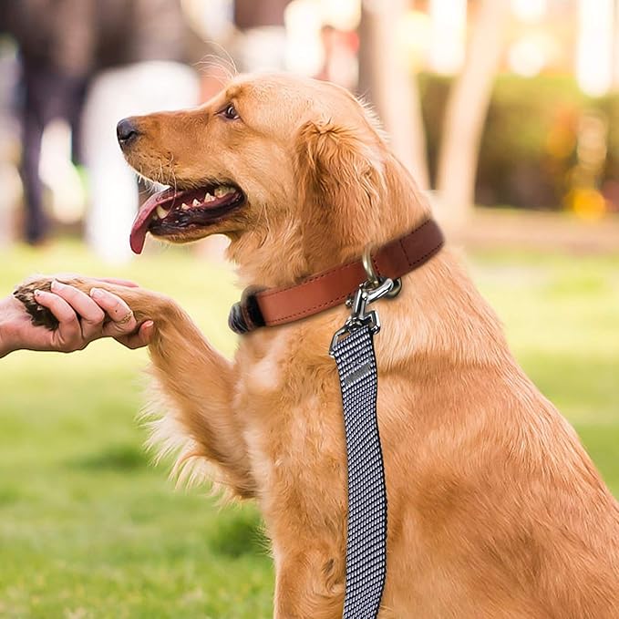 Hi Kiss Dog/Puppy Obedience Recall Training Agility Lead - 15ft 20ft 30ft 50ft 100ft Training Leash - Great for Training, Play, Camping, or Backyard(100ft,Black_White)