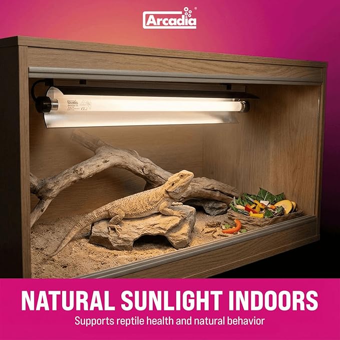 Arcadia T5 UVB Reptile Light Fixture Kit 36" Long 39 Watts 6% UVB Forest – Complete UVB Light for Reptiles, Turtles, Snake, Bearded Dragon Lamp, Long Lasting Easy to Use Professional Lighting