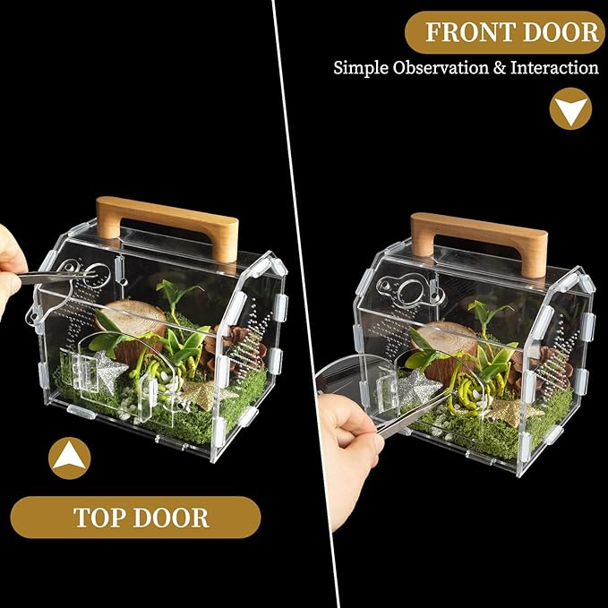 Acrylic Jumping Spider Habitat, Reptile Terrarium Easy Assembly, Bug Enclosure, Praying Mantis Habitat, Frog Enclosure (Small-6.3 * 4.7 * 6.7in)