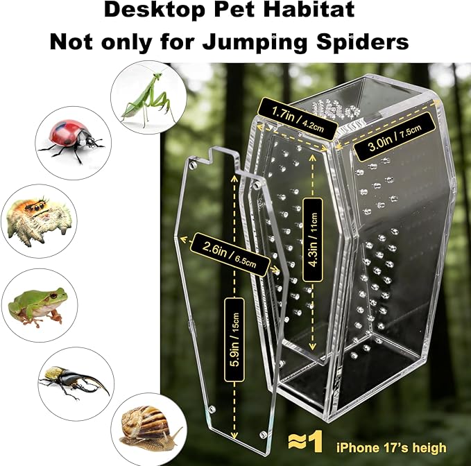 Jumping Spider Enclosure Jumping Spider Enclosure Kit Desktop Habitat Small Reptile Glass Terrarium Insect Accessory Set with Water Container Hiding Area(Black)
