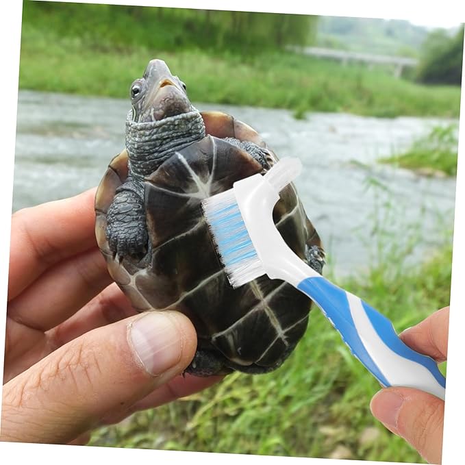 HANABASS 2pcs Portable Turtle Shell Cleaning Brush Multi-Functional Dirt Remover Double-Head for Effective Household Use