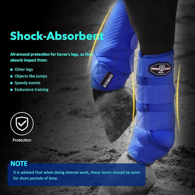 Harrison Howard Horse Sport Medicine Front Shock-Absorbing Boots All-Round Lower Limb Protection & Support Sport Boots Perfect for Endurance Training and Performance Pack of 2 Aquamarine L