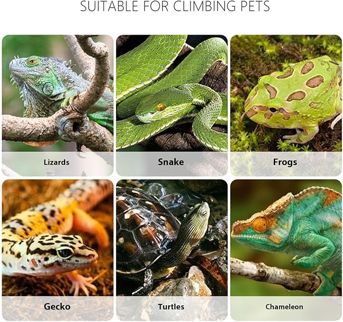 Creature Captures Tongs For Reptiles Care Feeder Pliers Clear Ergonomic Tool Gentle Feeding Easy Clear Tongs
