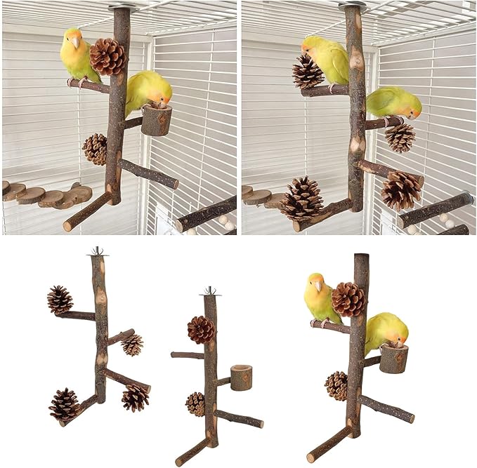 2PCS Parrot Perch Birdcage Accessories Stand Screw Wood Bird Toy Bird Activity Set