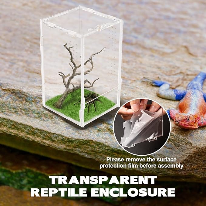 Rislobx Jumping Spider Enclosure, Acrylic Reptile Terrarium Enclosure Micro Habitat Tank Breeding Box for Tarantula Insect Small Reptiles (7.9" x 4.7" x 4.7")