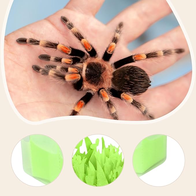 Reptile Humidifier, Humidifying System Terrariums Air Humidity Supplies for Frog Tortoise Turtles Bearded Dragons Chameleon, Green