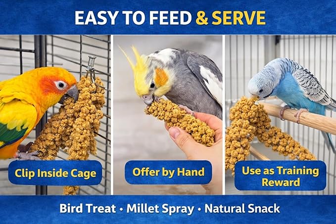5lbs Wholesome Spray Millet for Birds – USA Grown, Harvested & Packed – 100% Natural Sun-Dried Millet Clusters – for Parakeets, Cockatiels, Conures, Budgies, Finches & All Parrots