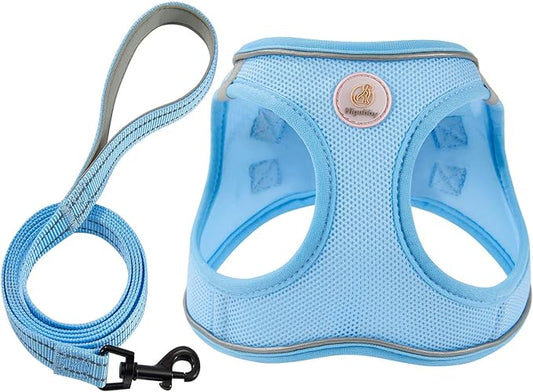 Hipubby Dog Harness and Leash Set, No Pull Soft Mesh Puppy Harness for Small Medium Dogs, Cats - Step in Reflective Breathable Lightweight Vest Harness for Walking, Training - Blue, M