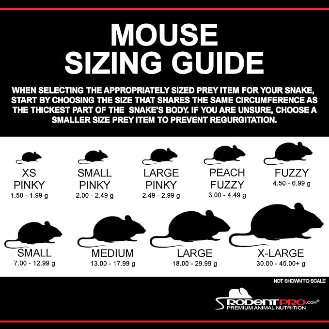 RodentPro Frozen Reptile Feeder White Medium Mice (50 Count)