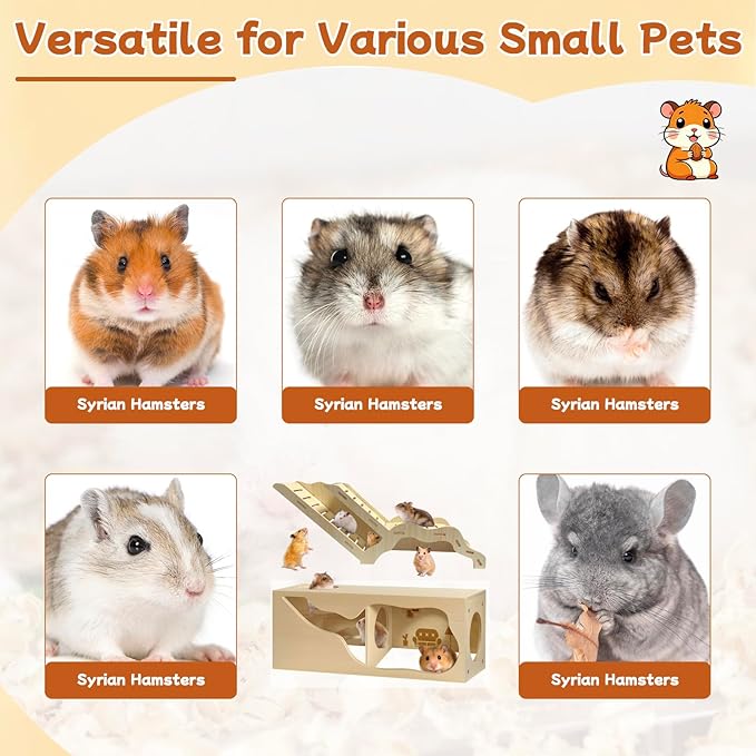 Hamster Hideout & Tunnel Set, 2Pcs Wooden House with Climbing Ladder, Exploration Tubes & Observation Shed for Syrian Hamsters, Dwarf Hamsters, Mice, Gerbils, Rats, and Other Small Animals