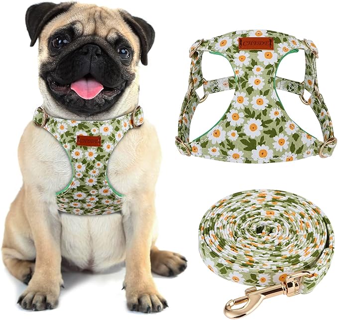CHEDE No Pull Floral Pattern Dog Harness- Lightweight and Soft, Adjustable Small Dog Harness and Leash Set, with Dog Leash, Suitable for Puppy Small and Medium-Sized Dog (M, Green Daisy)