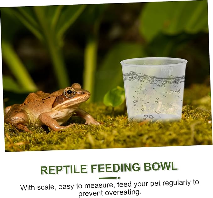 20Pcs Reptile Water and Food Measuring Cups Scale Feeder Bowls for Gecko Lizard Snake for Pet Feeding and Watering