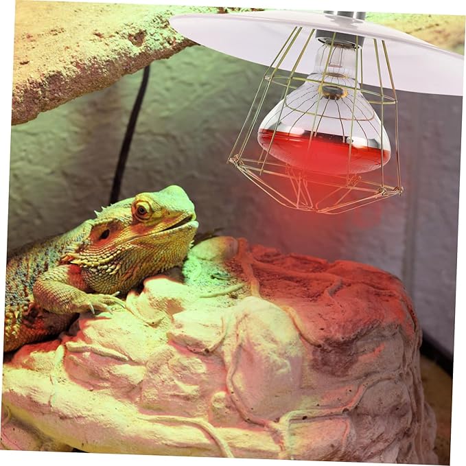 Angoily 3pcs Livestock Heat Lamp Kit Warming Light for Reptiles and Pets High Thermal Efficiency and Easy Installation for Lizard Cages and Animals