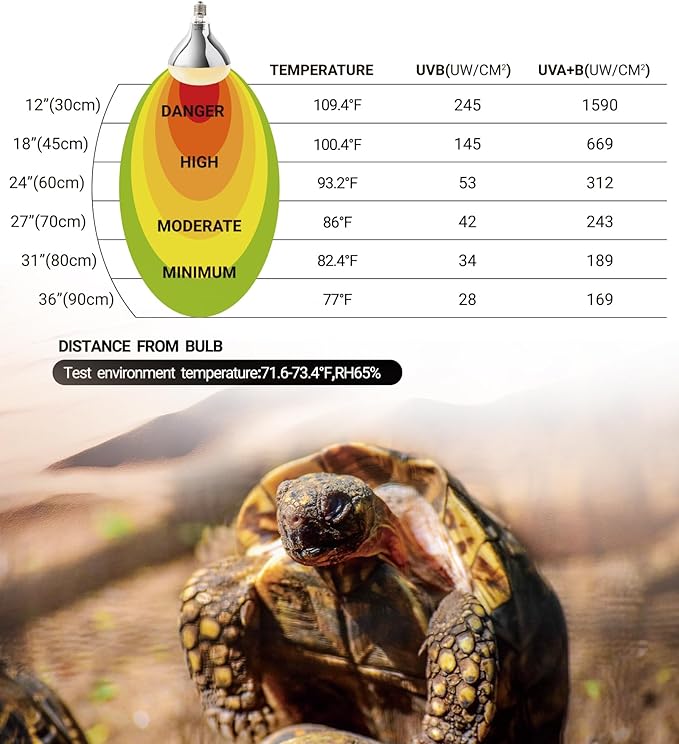REPTI ZOO Lighting Combo Kit 160W Reptile Heat Lamp UVA UVB Bulbs for Reptiles and 8.5 Inch Reptile Light Fixture Dome Lamp Fixture Dome Light with Timer Tortoises/Snakes/Lizards/Bearded Dragons