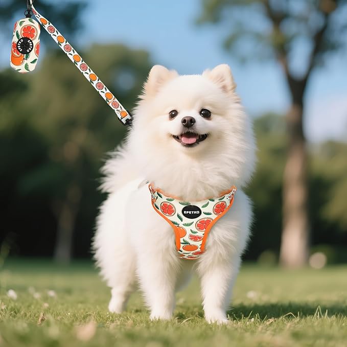 Small Dog Harness and Leash Set of 6, No Pull Soft Lightweight Mesh Puppy Harness， Adjustable Cute Floral Pattern Pet Harness for Small Medium Dogs (Orange, L)
