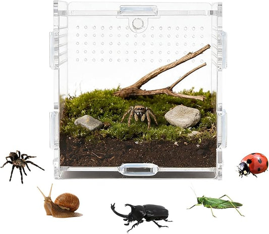 Transparent Jumping Spider Enclosure, Acrylic Reptile Terrarium Enclosure, Small Reptiles Habitat Tank Breeding Box for Tarantula Insect (Small)