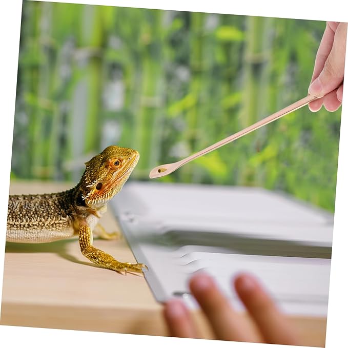 Mipcase 2pcs Stainless Steel Reptile Food Scoop Small Pet Feeding Spoon for Lizards and Reptiles Ergonomic Design for Easy Use and Maintenance Compact and Lightweight Tool for Convenient