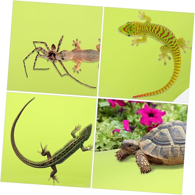 VANZACK Reptile Carpet Mat for Terrarium Substrate Liner for Tortoises Lizards Snakes Geckos Non Slip Durable Design Texture