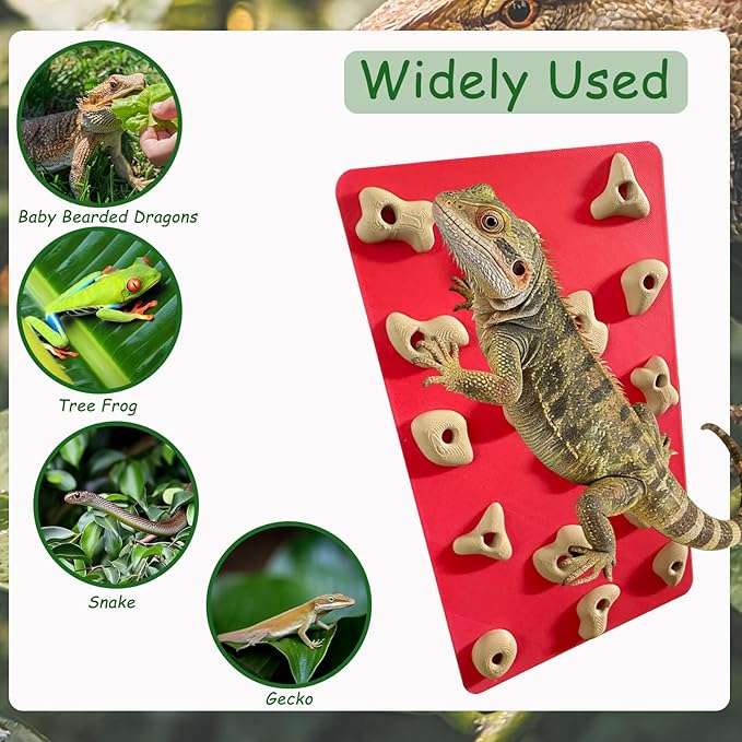 Mini Reptile Rock Climbing Wall, Terrarium Enclosure Enrichment & Habitat Décor for Bearded Dragons, Geckos, Lizards, Snakes, Tree Frogs and Small Amphibians (Red & Beige)