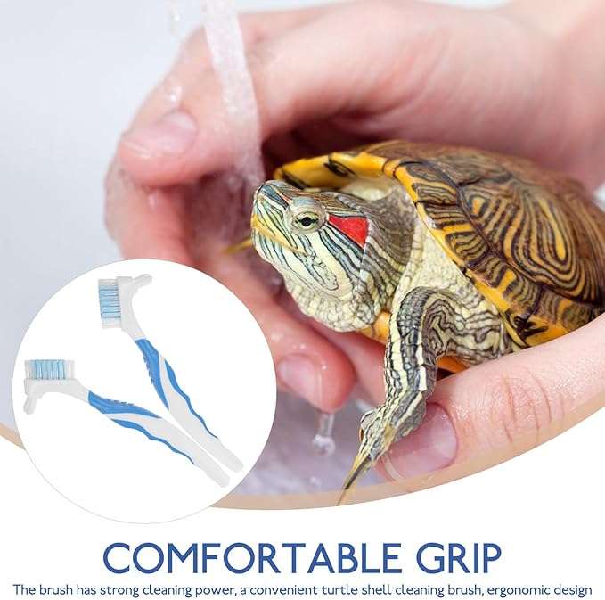 Abaodam 2pcs Portable Turtle Shell Cleaning Brush Mini Mud Remover for Aquatic Turtles and Tortoises, Blue, Practical Personal Shell Maintenance Tool for Reptile Health