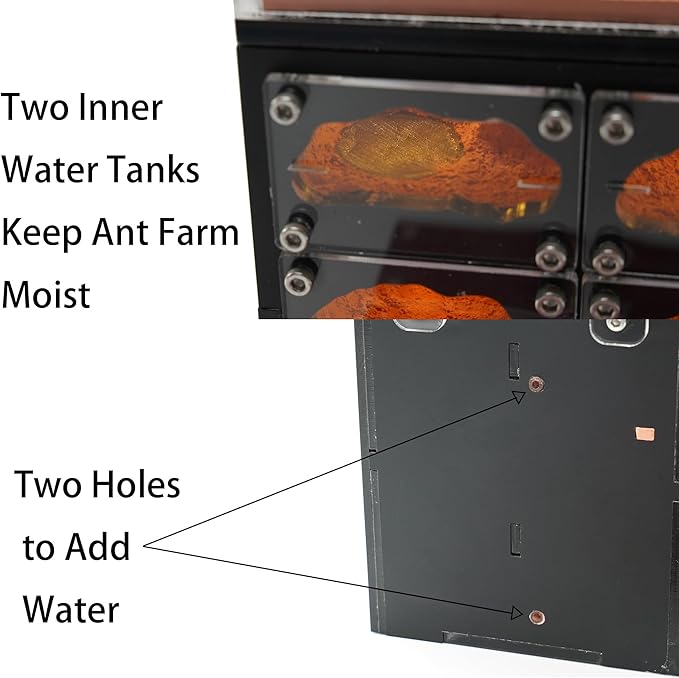 Ant Farm for Live Ants with Inner Lights - Large Viewing Area - Natural Learning Toy - Great Gift
