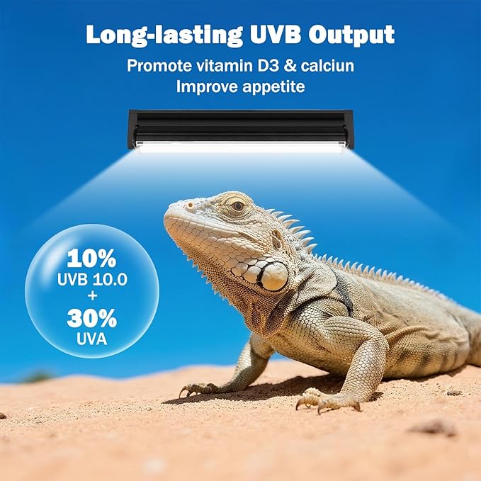 T5 10.0 UVB Reptile Light Fixture, 8W 12" T5 UVA/UVB Fluorescent Tube Bulb for Bearded Dragon, Tortoise, Leopard Gecko, Desert Lizards
