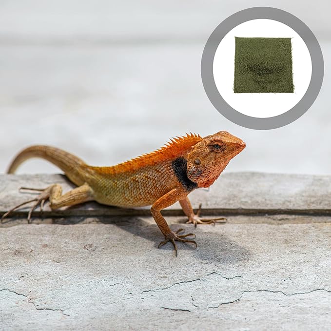 jojofuny Reptile Carpet Mat for Bearded Dragon and Tortoise Terrarium Washable Moisture-Resistant Substrate Liner Soft Cushioned Bedding for Lizards Snakes Amphibians