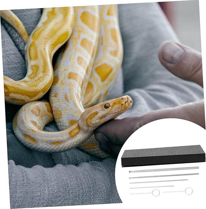 6Pcs Professional Snake Gender Detector Probe Kit for Reptile Gender Detection Toy Snake Probe for Accurate Sexing of Snakes and Reptiles