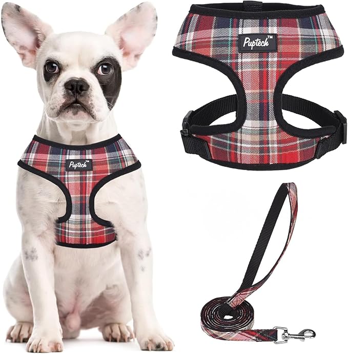 PUPTECK Soft Mesh Dog Harness and Leash Set Pet Puppy Cat Comfort Padded Vest No Pull Harnesses, Red Mixed, M