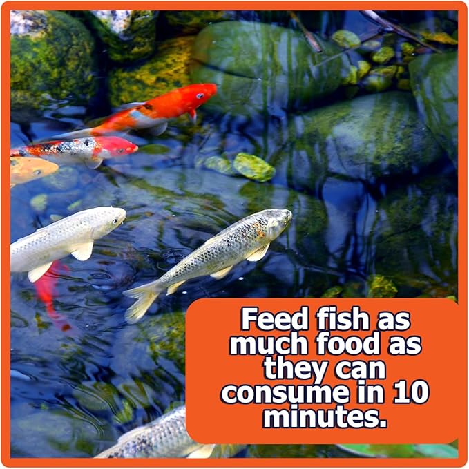Pond Fish Food Probiotic Blend | 3.5 lb Floating Pellets for Koi & Goldfish | Premium Food in a Resealable Foil Pouch for Freshness