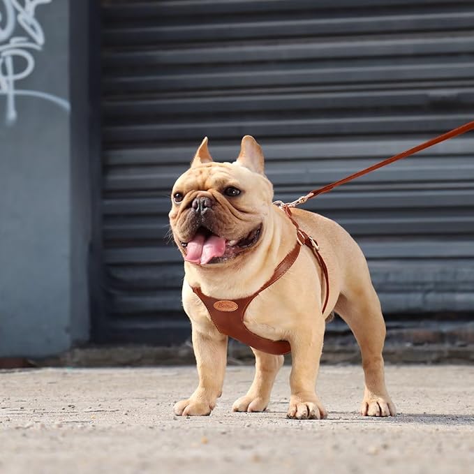 Beirui ‌Stylish PU Leather Dog Harness‌ and Leash Set for Small Dogs, ‌Adjustable Step in Dog Vest Harness with Breathable Mesh Lining and Durable Metal Buckle for Walking Traveling(Brown,M)